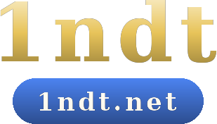 1ndt logo